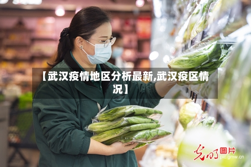 【武汉疫情地区分析最新,武汉疫区情况】