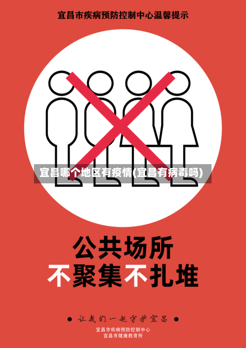 宜昌哪个地区有疫情(宜昌有病毒吗)-第2张图片
